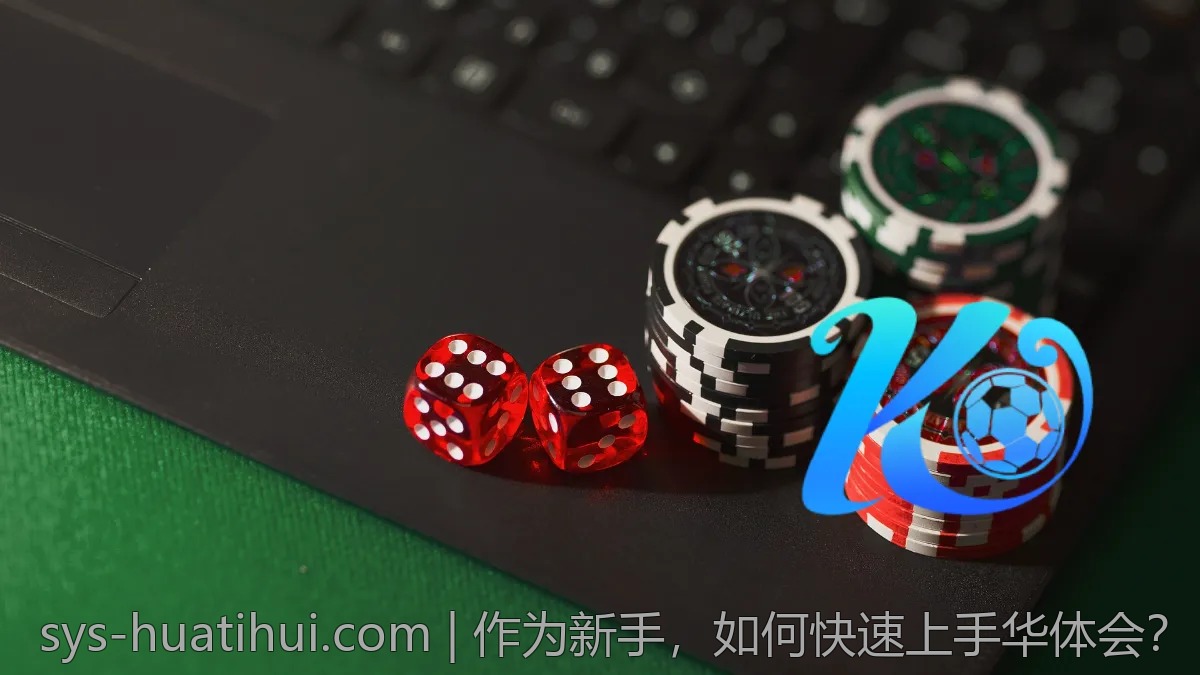 作为新手，如何快速上手华体会？