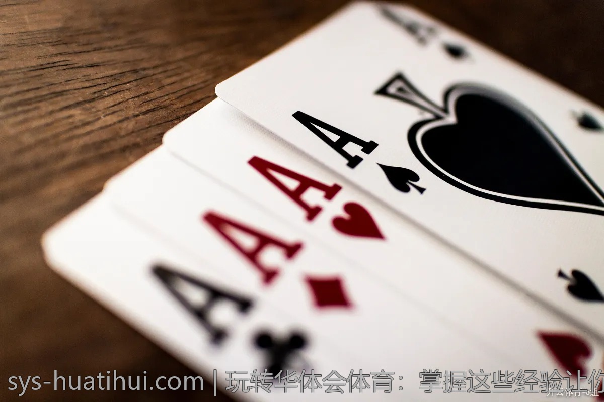 玩转华体会体育：掌握这些经验让你游刃有余