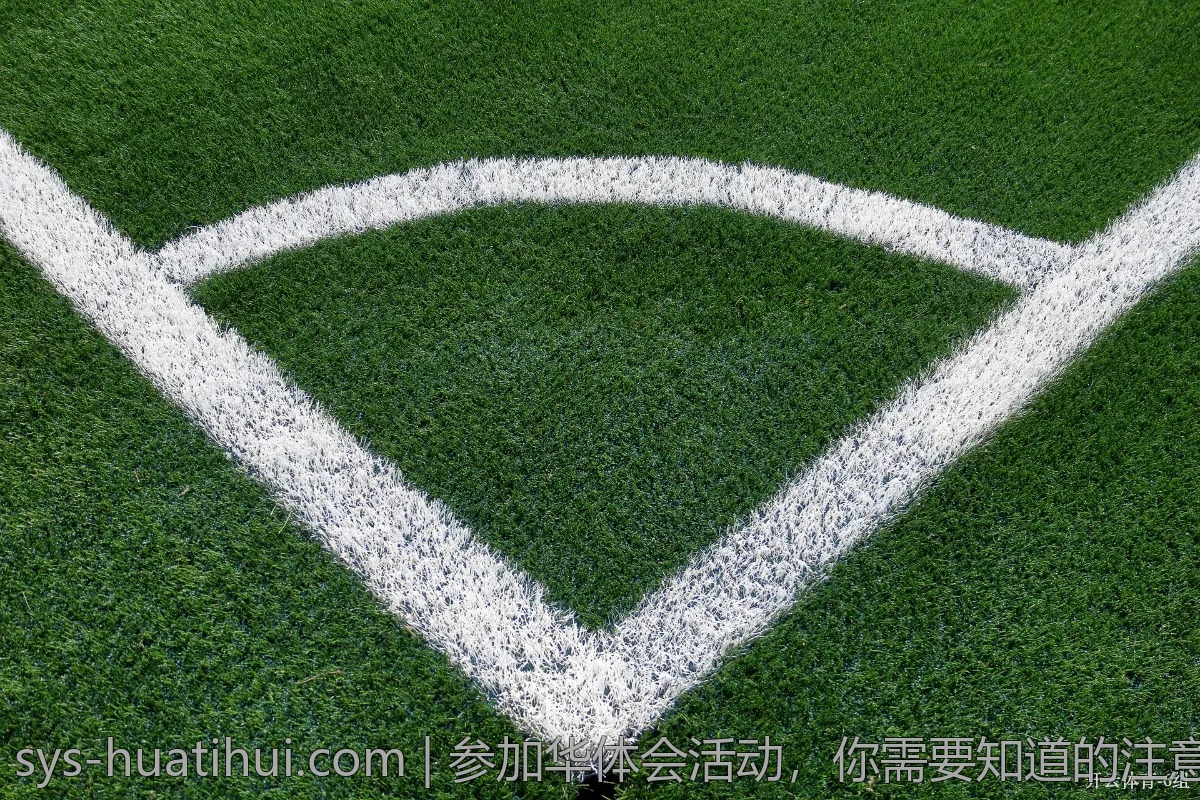 究竟为什么华体会能够在行业中脱颖而出？