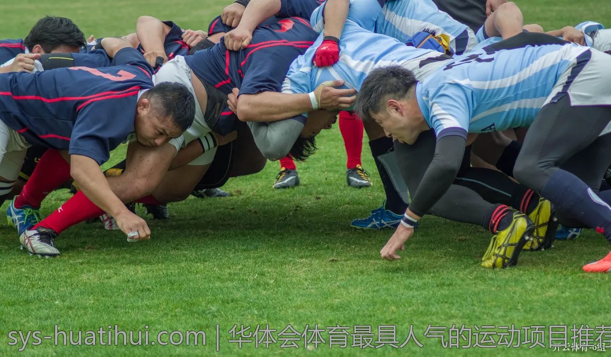 华体会体育最具人气的运动项目推荐
