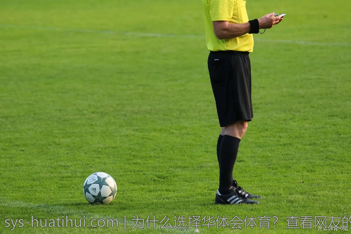 为什么选择华体会体育？查看网友的真实评价