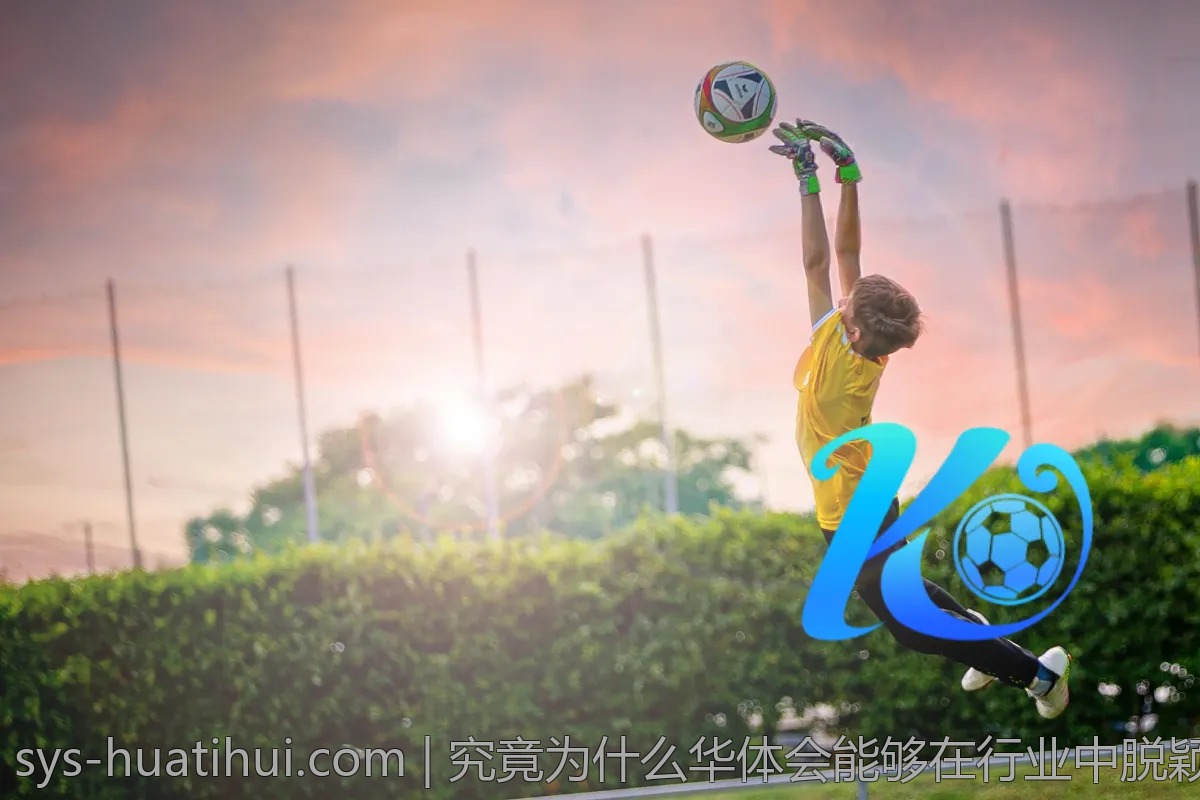 究竟为什么华体会能够在行业中脱颖而出？