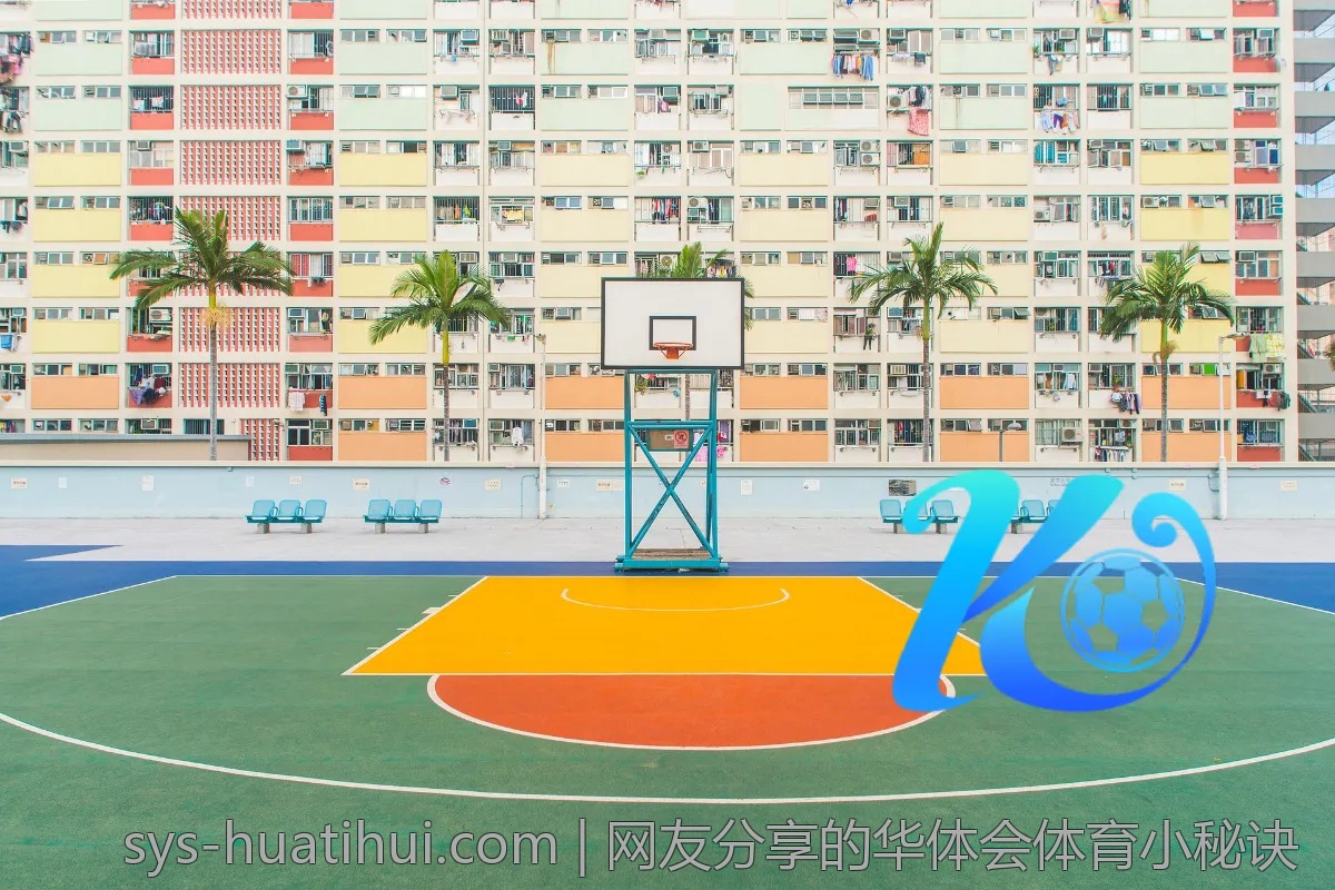 网友分享的华体会体育小秘诀